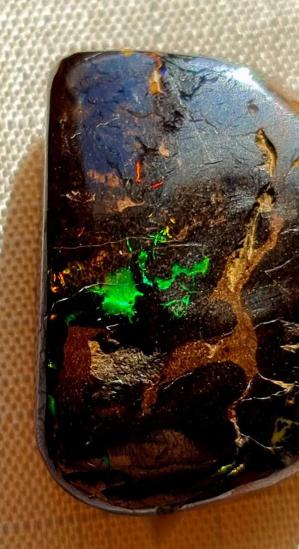 Boulder Opal – Bild 3